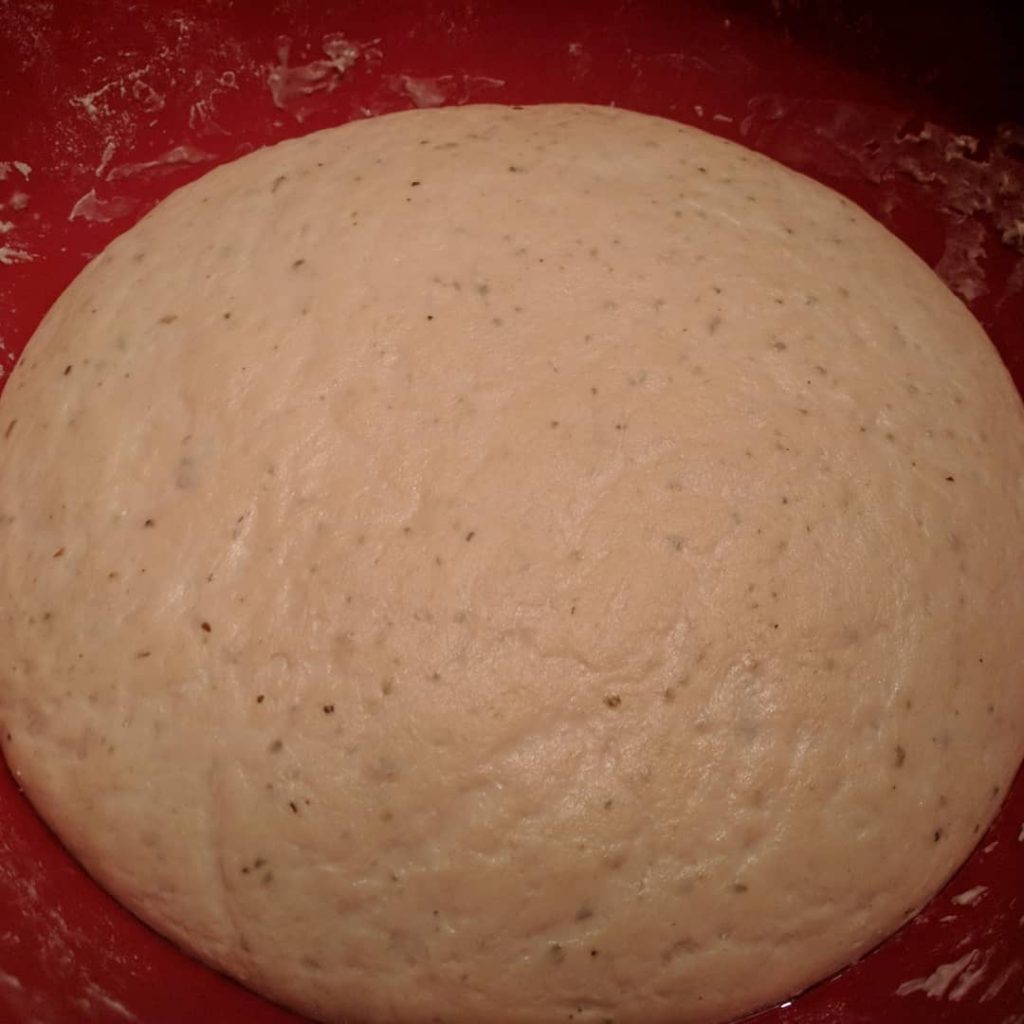 Salz Hefe Teig nach 12 Stunden im Kühlschrank