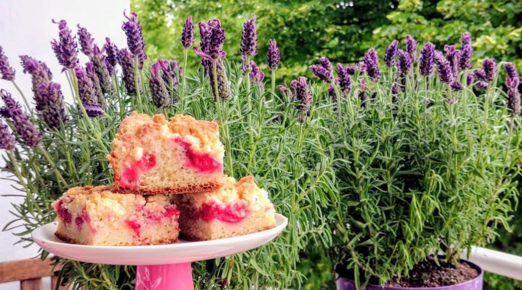 Leckerer Kirschstreuselkuchen