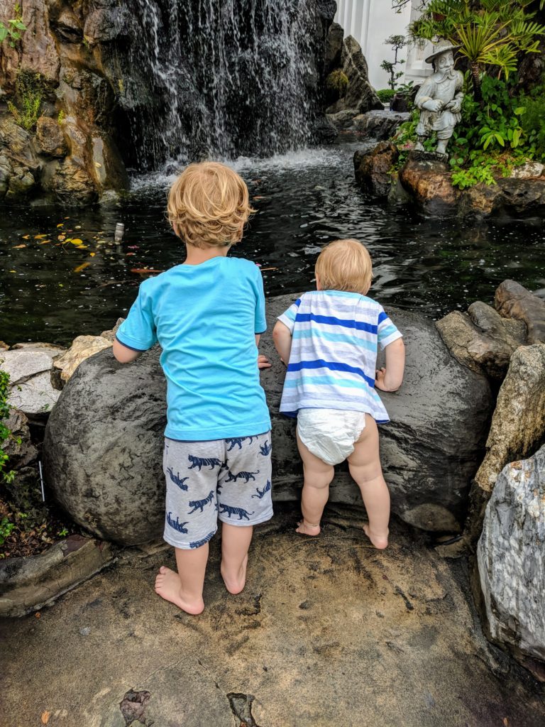 Fischteich auf dem Tempelgelaende Wat Pho Bangkok