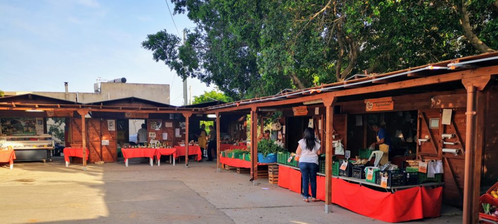 Mangold- Salsiccia Tagliatelle Italien Markt