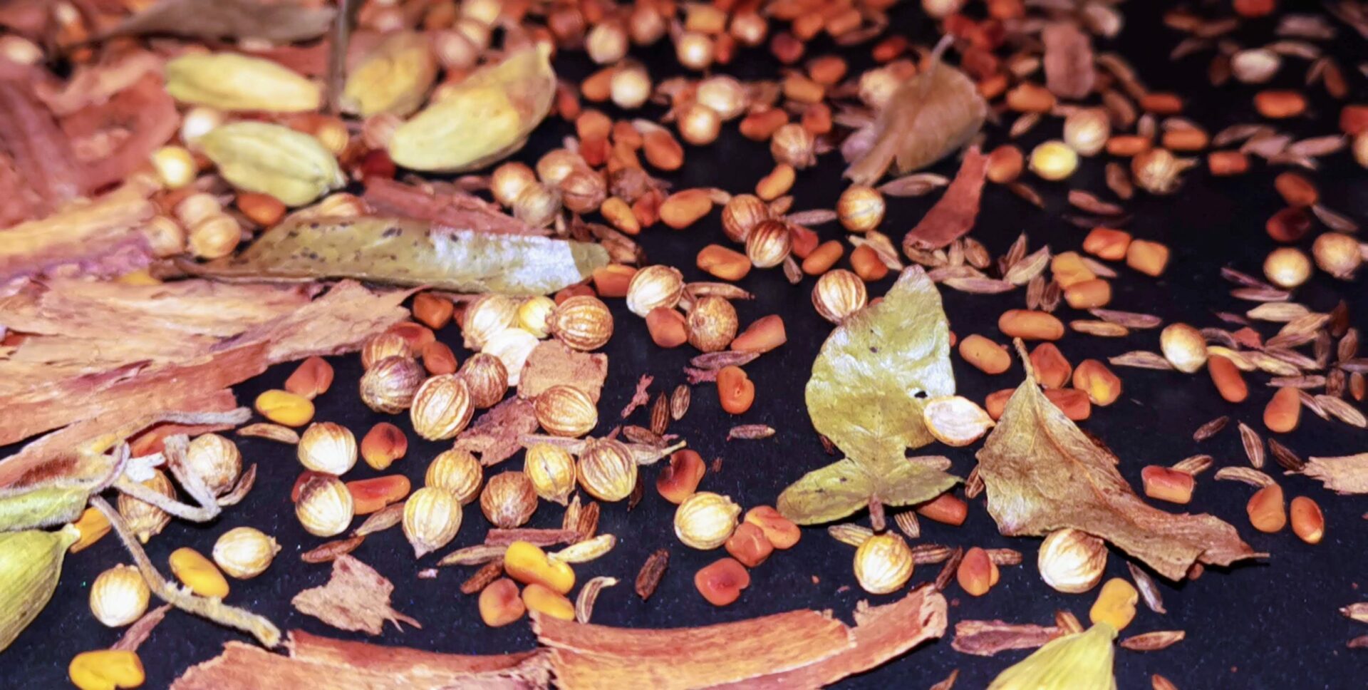 Selbstgemachtes Garam Masala - die indische Gewürzmischung