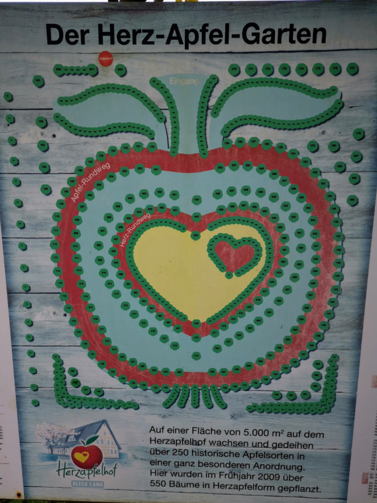 Äpfel selber pflücken auf dem Herzapfelhof - Ausflug ins Alte Land bei Hamburg