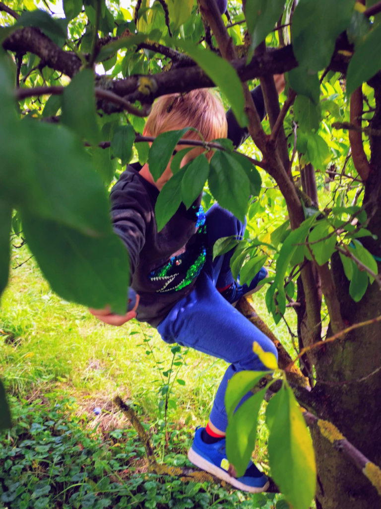 Äpfel selber pflücken auf dem Herzapfelhof - Ausflug ins Alte Land bei Hamburg - klettern
