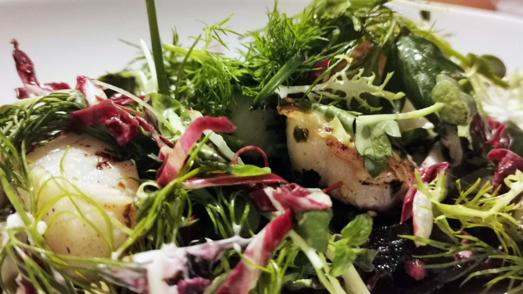 Weihnachten und Silvester in Hamburg - die Angebote der besten Hamburger Restaurants-jellyfish